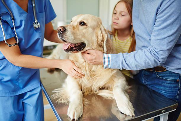 Bannon Woods Veterinary Hospital Your Pet’s Health Partner